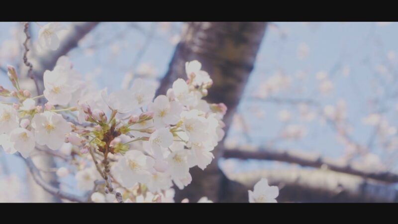 Focus